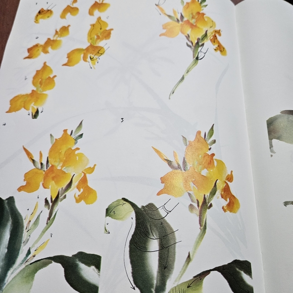 Easy Ways to do Chinese Painting #69 Walter Foster How To Draw Paint Softcover - Picture 9 of 16